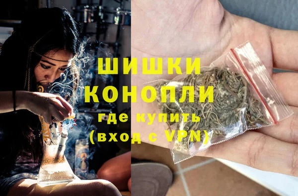 PSILOCYBIN Богородск