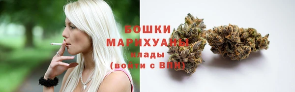 PSILOCYBIN Богородск
