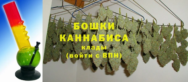 PSILOCYBIN Богородск