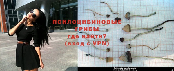 марки nbome Богданович