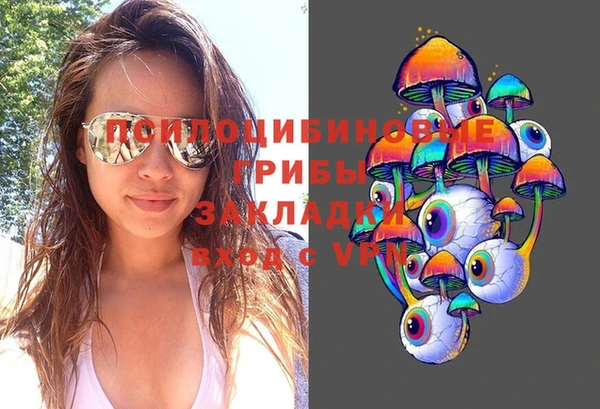 кокс Богородицк