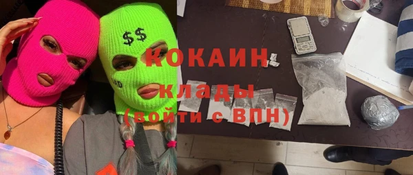 кокс Богородицк